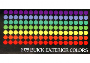 1975 Buick Exterior Colors