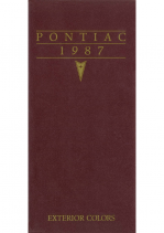 1987 Pontiac Exterior Colors