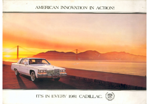 1981 Cadillac Full Line