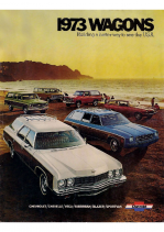 1973 Chevrolet Wagons