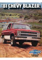 1981 Chevrolet Blazer