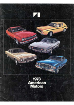 1973 AMC Full Line V1