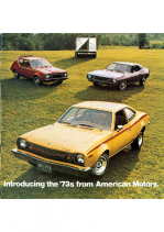 1973 AMC Full Line V2