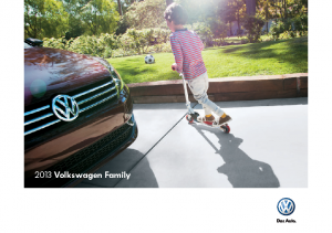 2013 VW Family