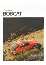 1978 Mercury Bobcat