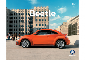 2019 VW Beetle