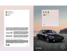 2019 Mercedes-Benz CLS